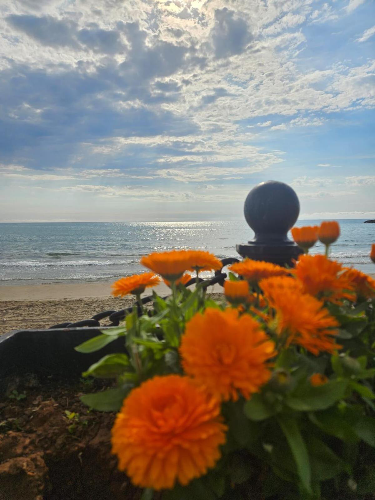 Mondrian Magic World - Sea View First Line Of The Beach Oropesa del Mar Exterior foto